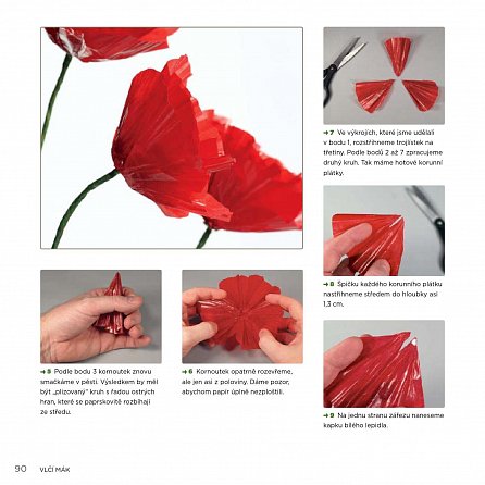 Náhled Papírové květiny - 25 překrásných návrhů pro slavnostní příležitosti a zkrášlení interiéru