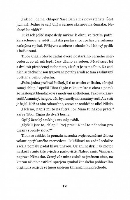 Náhled Prameny Vltavy, 1.  vydání