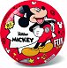 Míč Mickey Mouse nafouknutý 23cm v síťce