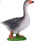 Husa figurka