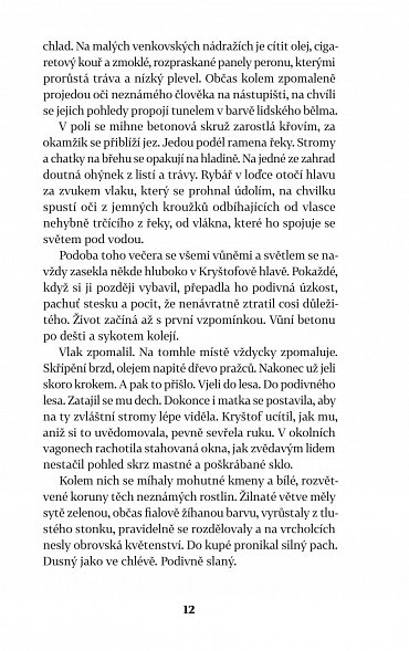 Náhled Chyba, 2.  vydání