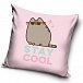 Dětský polštářek Kočička Pusheen Stay Cool