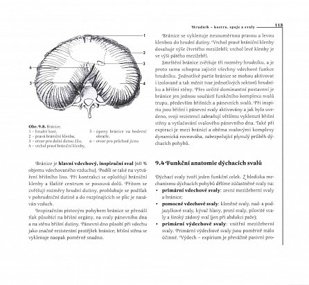 Náhled Základy anatomie, 2.  vydání