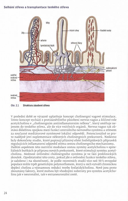Náhled Selhání střeva a transplantace tenkého střeva