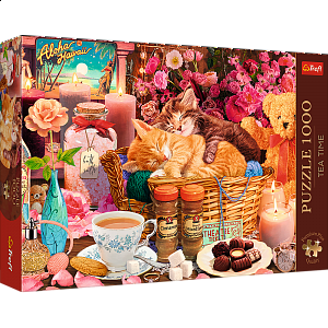 Puzzle Premium Plus - Čajový čas: Všechny pěkné věci  1000 dílků 68,3x48cm v krabici 40x27x6cm