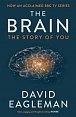 The Brain, The Story of You