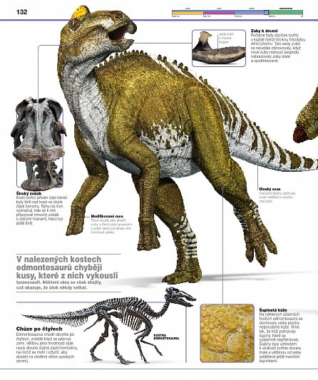 Náhled Dinosauři v kostce - Více než 60 prehistorických tvorů tak, jak jste je dosud nikdy neviděli