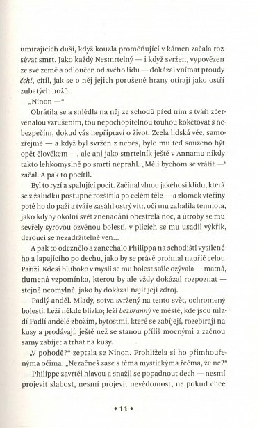 Náhled Řád zlomených křídel