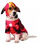 Kostým pro psa - Iron man