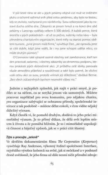 Náhled Jak být šťastný od 9 do 5 - Jak milovat život, mít rád svou práci a být v ní úspěšný