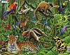 Puzzle MAXI - Deštný prales Jižní Ameriky/70 dílků, 1.  vydání