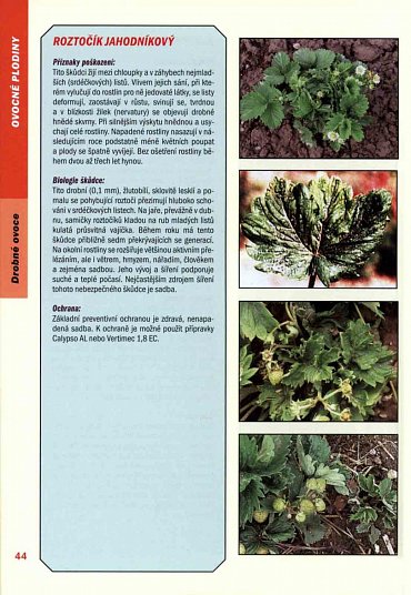 Náhled Atlas chorob a škůdců ovoce, zeleniny a okrasných rostlin