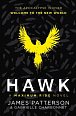 Hawk: A Maximum Ride Novel : (Hawk 1)