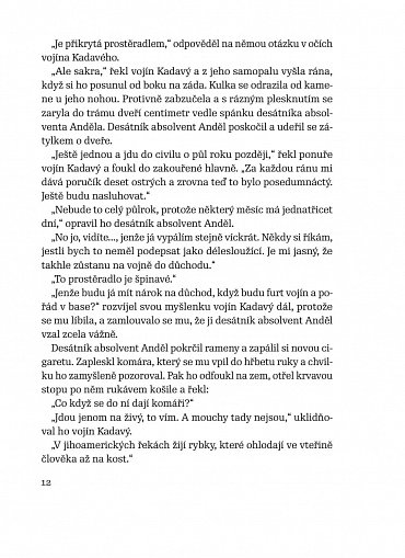 Náhled Stín, 1.  vydání
