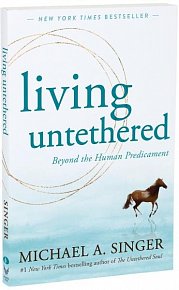 Living Untethered: Beyond the Human Predicament