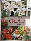 Orchideje - Rady, péče, pěstování