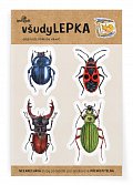 všudyLEPKA vel. 1 -038 - Brouci