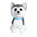 Hafíci II. Maxík - Husky CZ