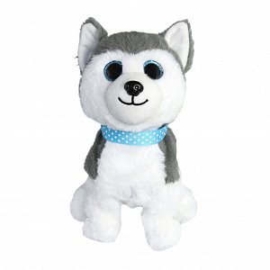 Hafíci II. Maxík - Husky CZ
