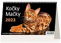 Kalendář 2023 - Kočky/Mačky - stolní