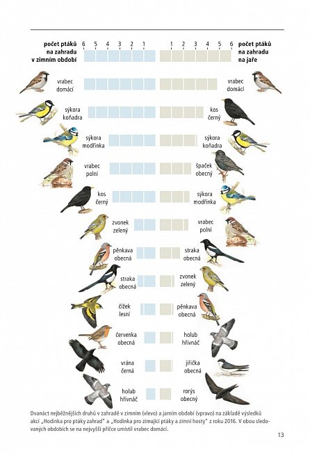 Náhled Poznáte ptáky našich zahrad? - Pozorujte a určujte celkem 100 druhů ptáků