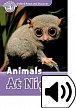 Oxford Read and Discover Level 4 Animals at Night with Mp3 Pack