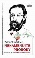 Nekamenujte proroky - Kapitoly ze života Bedřicha Smetany