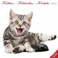 Koťata 2010 - nástěnný kalendář