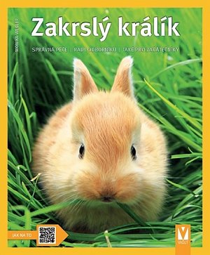 Zakrslý králík: Správná péče, rady odborníků, také pro začátečníky  - Jak na to