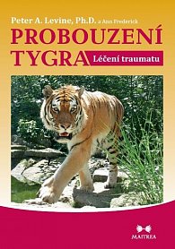 Probouzení tygra - Léčení traumatu