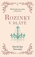 Rozinky v blátě - Dva tucty střepů
