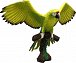 Velký zelený papoušek