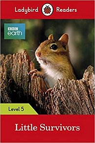 Ladybird Readers Level 5 BBC E