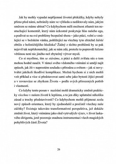 Náhled Jak se dostat do nebe (aniž doopravdy zemřeme)