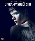Dívka v pavoučí síti -BD