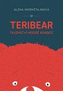 Teribear - Tajemství modré krabice