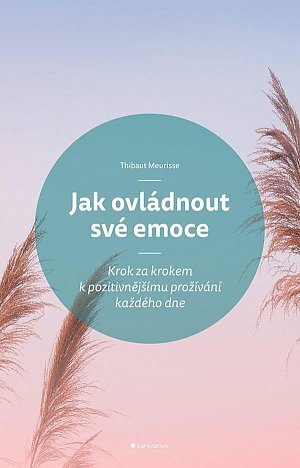 Jak ovládnout své emoce - Krok za krokem k pozitivnějšímu prožívání každého dne