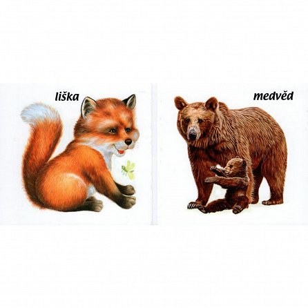 Náhled Pojďte s námi za zvířátky do lesa - leporelo