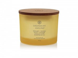 Vonná svíčka CHESAPEAKE BAY CANDLE Strength & Energy 312g / 3 knoty