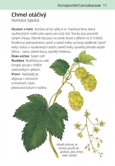 Náhled Plané rostliny