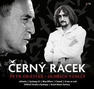 Černý racek