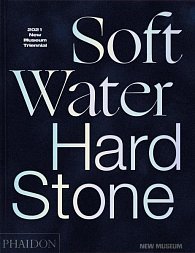 Soft Water Hard Stone: 2021 New Museum Triennial