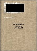 Co je českého na umění v Čechách? - Vybrané texty z let 2004-2021