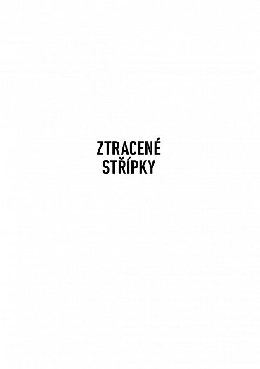 Náhled Ztracené střípky