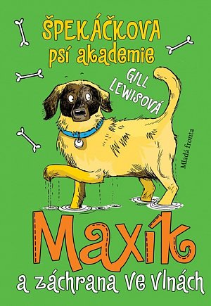 Špekáčkova psí akademie 4: Maxík a záchrana ve vlnách