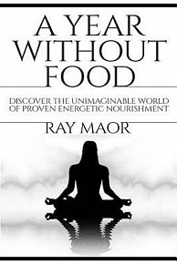 A Year Without Food : Discover The Unimaginable World of Proven Energetic Nourishment