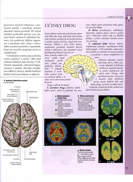 Náhled Anatomie - Ilustrovaný atlas