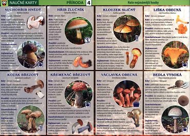 Náhled Naše nejznámější houby - Naučné karty