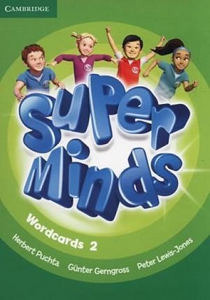 Super Minds Level 2 Wordcards (Pack of 90)