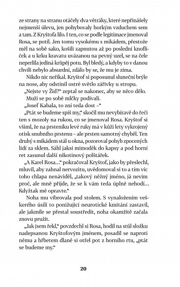 Náhled Chyba, 2.  vydání